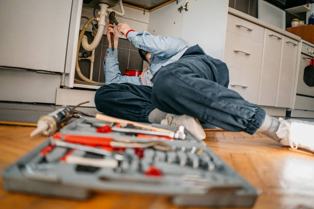 Best Local Plumber Services  in Woodland Hills, UT